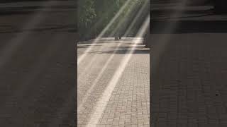 Brushless Car