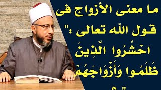 ما معنى الأزواج فى قول الله تعالى احشروا الذين ظلموا وأزواجهم ؟ الأستاذ الدكتور محمد سيد سلطان