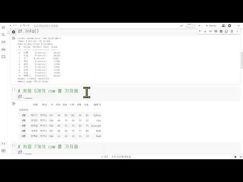 파이썬 데이터 분석 기초 : 3차시 데이터 확인