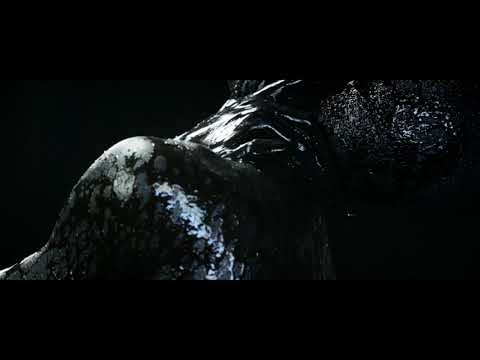 Madonna feat. Lil Wayne - Revolver (Music Video) - YouTube