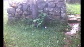 Imagem 018.avi