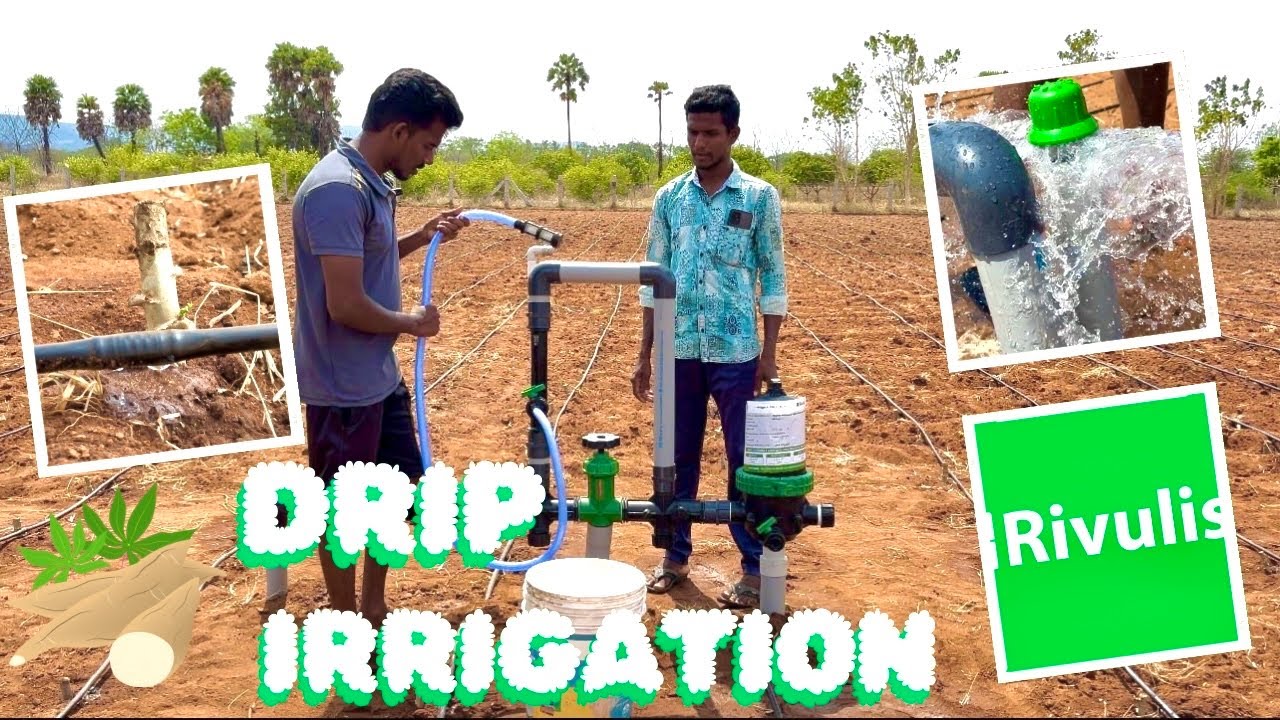 சொட்டுநீர் பாசனம் அமைப்பது எப்படி?Install drip irrigation system in 3 acres | village viruz