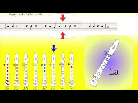 Video: 3 būdai, kaip pagerinti dainavimą be vokalo pamokų