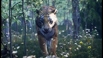 Tiger Attack Animation Promo- Eternal | Unreal Engine 5