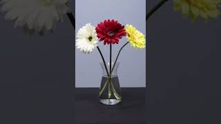 Encapso-K Tutorial: Create an Amazing Encapsulated Flower Display @smoothon