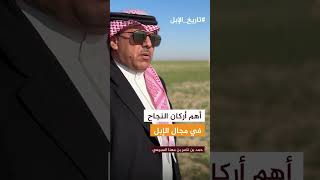 أهم أركان النجاح في مجال الإبل - حمد بن ناصر السبيعي