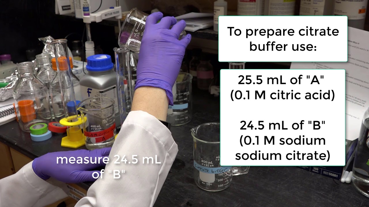 Episode 6: Making Stains to Observe Plant Cells