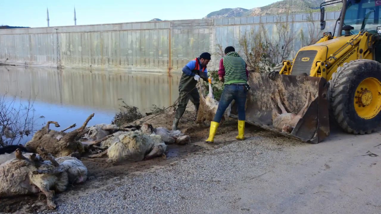 Bozyazı Sel Felaketi 2019