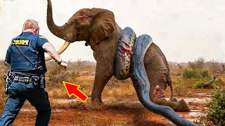 Tiere, die Menschen um Hilfe baten!