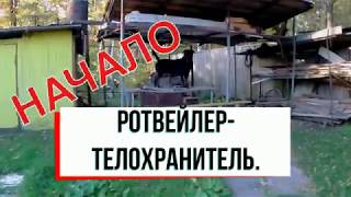 РОТВЕЙЛЕР-ОХРАННАЯ СОБАКА.С ЧЕГО НАЧАТЬ? РОТВЕЙЛЕР-ОХРАННАЯ СОБАКА.С ЧЕГО НАЧАТЬ?
