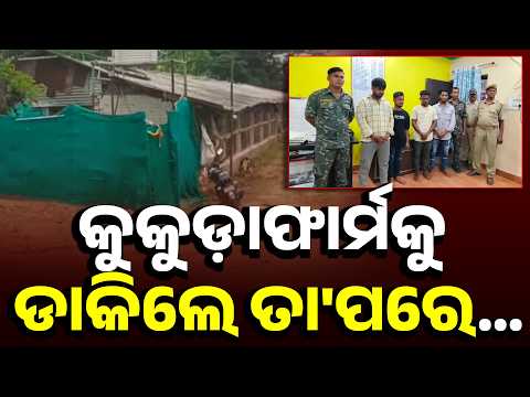 ପୁରୁଣା ବିବାଦରୁ ଯୁବକଙ୍କୁ ଆକ୍ରମଣ! ଦିଗପହଣ୍ଡି ଘଟଣାରେ ୪ ଗିରଫ #knewsodisha