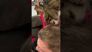 Cat licks my husband’s hair while we watch Back to the Future