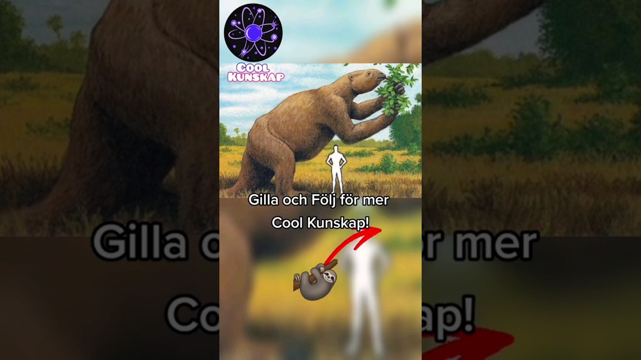 J&auml;tteseng&aring;ngare &auml;r coola! #coolkunskap #kunskap #djur #fakta #cool #natur