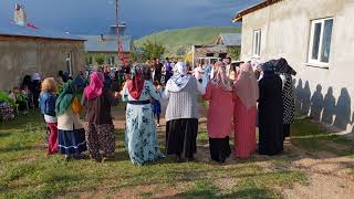 Serdal anıl la kürtçe  halay muşluların düğünü  2018 halay 😉 Resimi