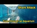 Shark Attack : Tube through an Aquarium : Atlantis The Palm in Dubai