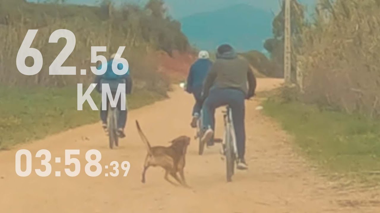 جولة إلى سد أسمير بالدراجة الهوائية