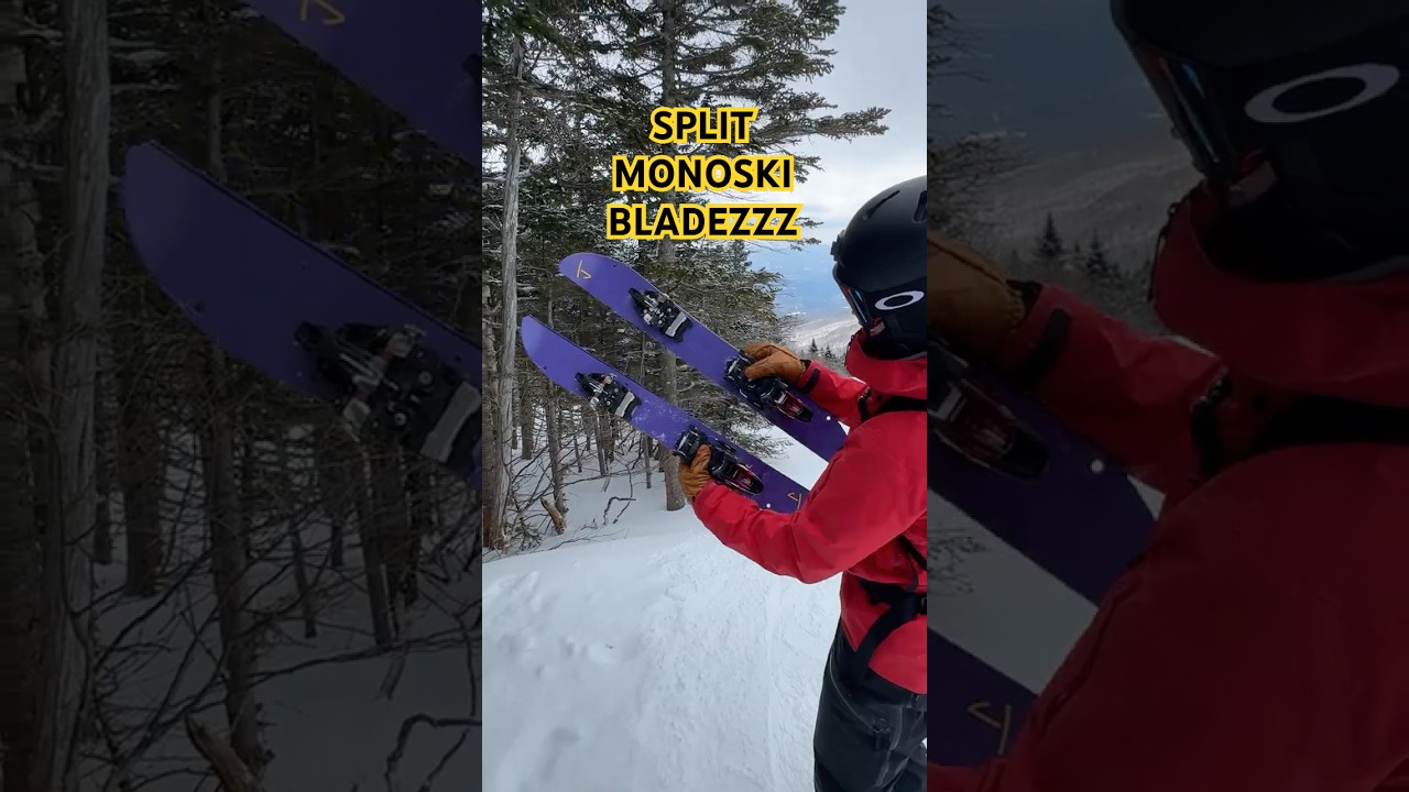 LA Ski Club限定　Fitswell ミトン セット The Flight 