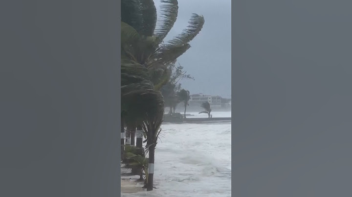Hurricane Beryl Makes Landfall as Category 4 Storm Near Grenada