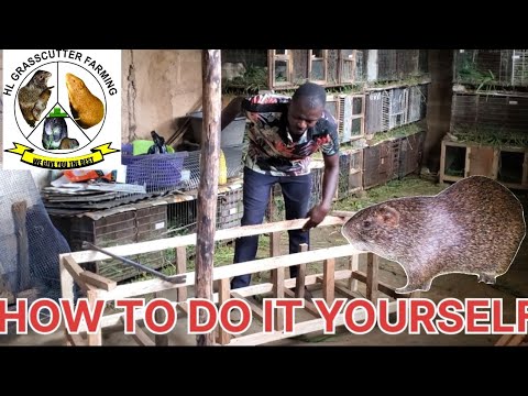 HOW TO DO IT YOURSELF 