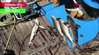 SHOCKING undercover video: dirty tuna fishing @greenpeaceuk