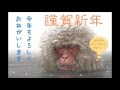 【2016申年 年賀動画】 ハーモ兄さんの動画に音楽付けました  Happy New Year!!