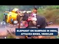These People Were Just Enjoying Their Fiesta But What This Elephant Did Will Surely Surprise You.