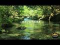 【復活版】4K映像 ＋ 自然環境音 / 心地良い自然環境音　円原川
