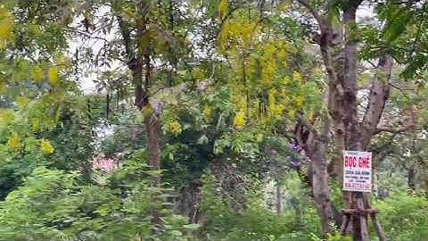 Chính chủ bán biệt thự KĐT Văn Phú, 200m2, 4PN, mặt tiền 10m, nội thất cơ bản, hướng Bắc