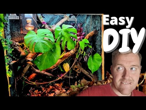 DIY Reptile Enclosure Step By Step Bioactive