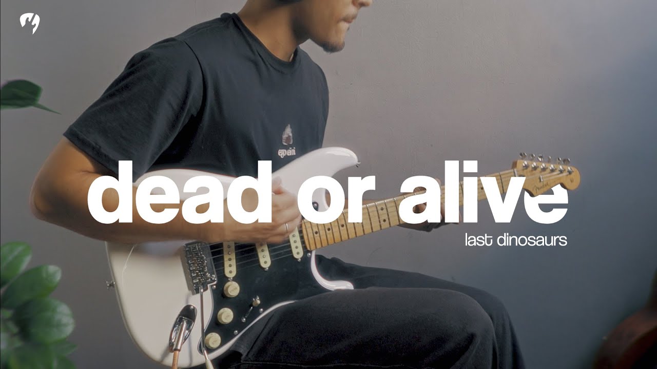Dead Or Alive - Last Dinosaurs (Guitar Cover)
