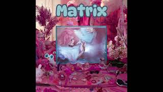 bryska - matrix (Instrumental /w Backing Vocals)