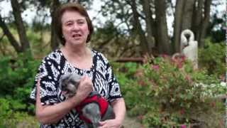 Testimonial - The Value Of The Country Vet