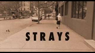 Strays - Bande Annonce