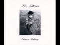 The Auteurs - Government Bookstore