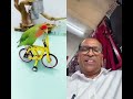 Amazingtalkingparrot parrottalking parrotshow cute dancingtalkingparrot funny parrotentertain