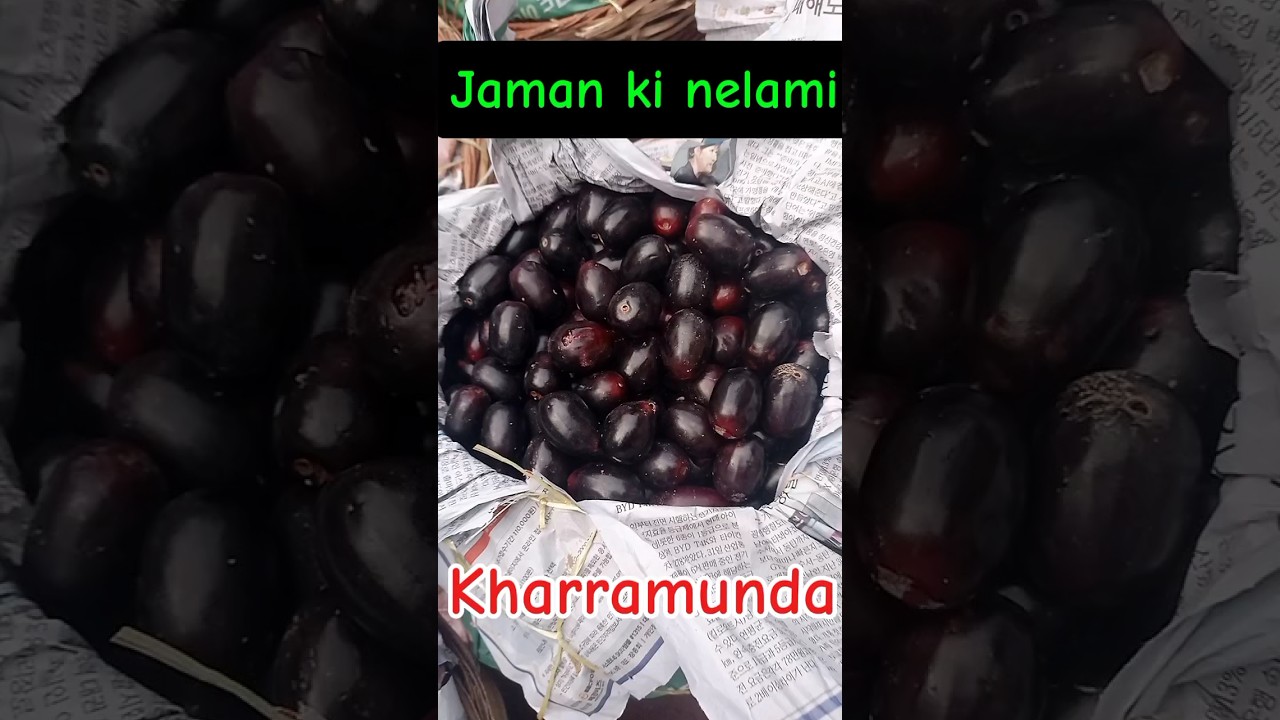 Multan sabji mandi mein jamun ki nilami || 