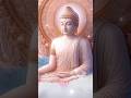 tu tâm