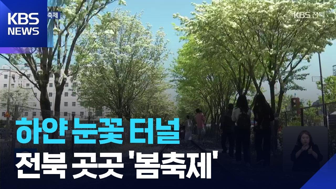 ‘도심 속 하얀 눈꽃 터널’…전북 곳곳 ‘봄 축제’ / KBS  2026.04.25.