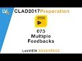 LabVIEW CLAD 073 Multiple Feedbacks