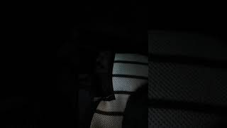 Suleyman Yine Efkarlı Resimi