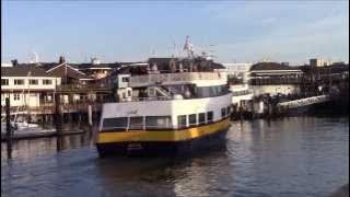 Toccata in D minor - Johann Sebastian Bach - 1833