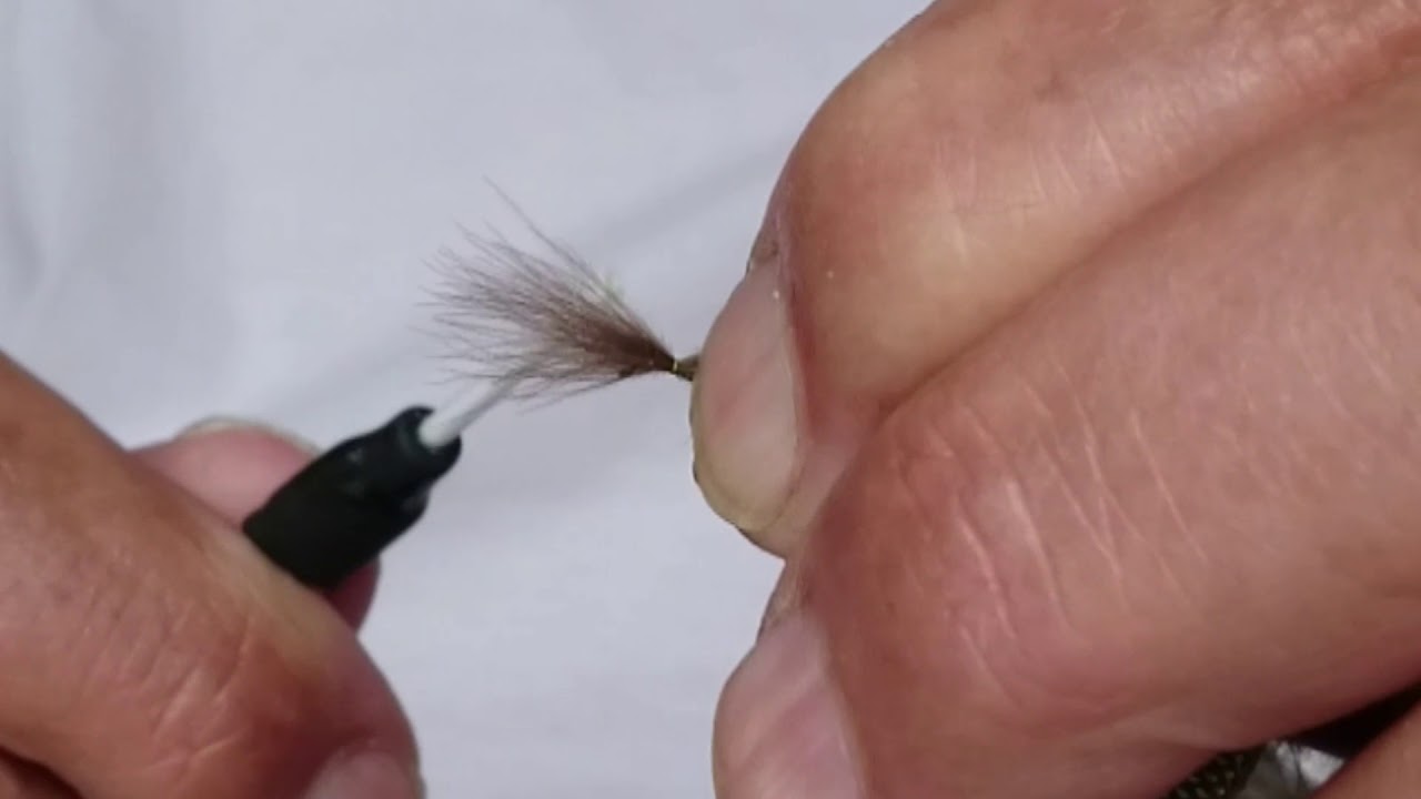 Caennis para el amanecer