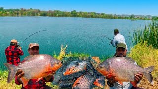 Best Fishing Technique for Big Red Belly Fish!