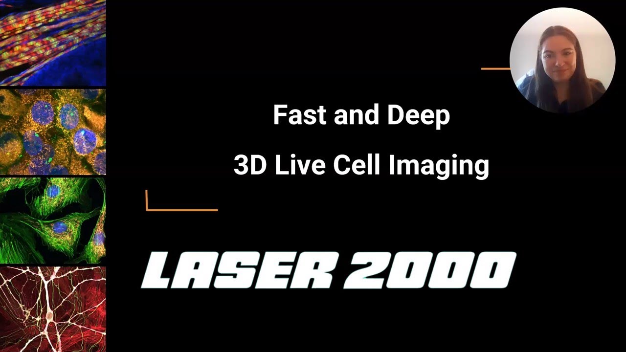 Revolutionizing Live Cell Imaging: Fast and Deep 3D Insights with ...