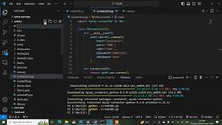 Insert Operation in Python