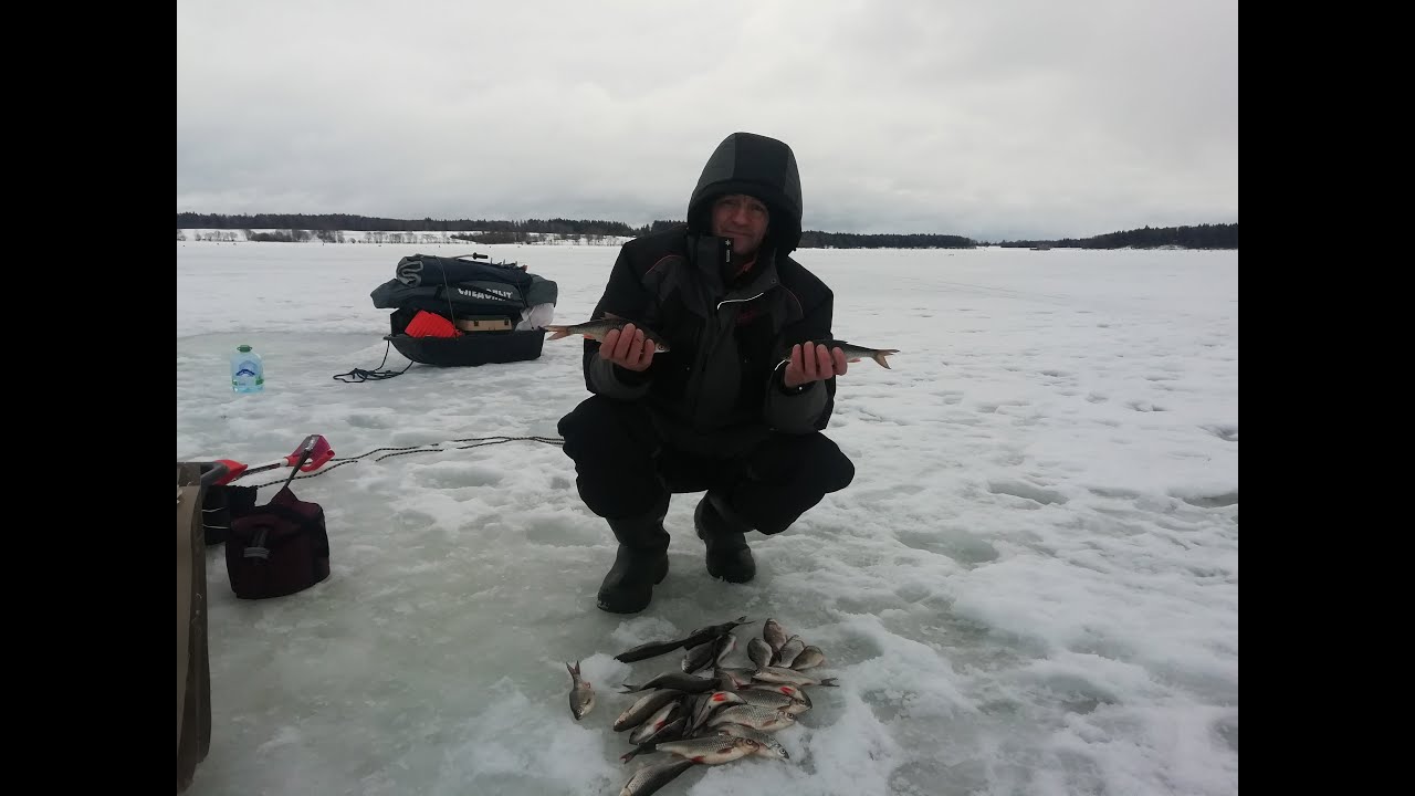 Клев на рузском водохранилище