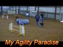 My Ultimate Agility Pairs Relay Team