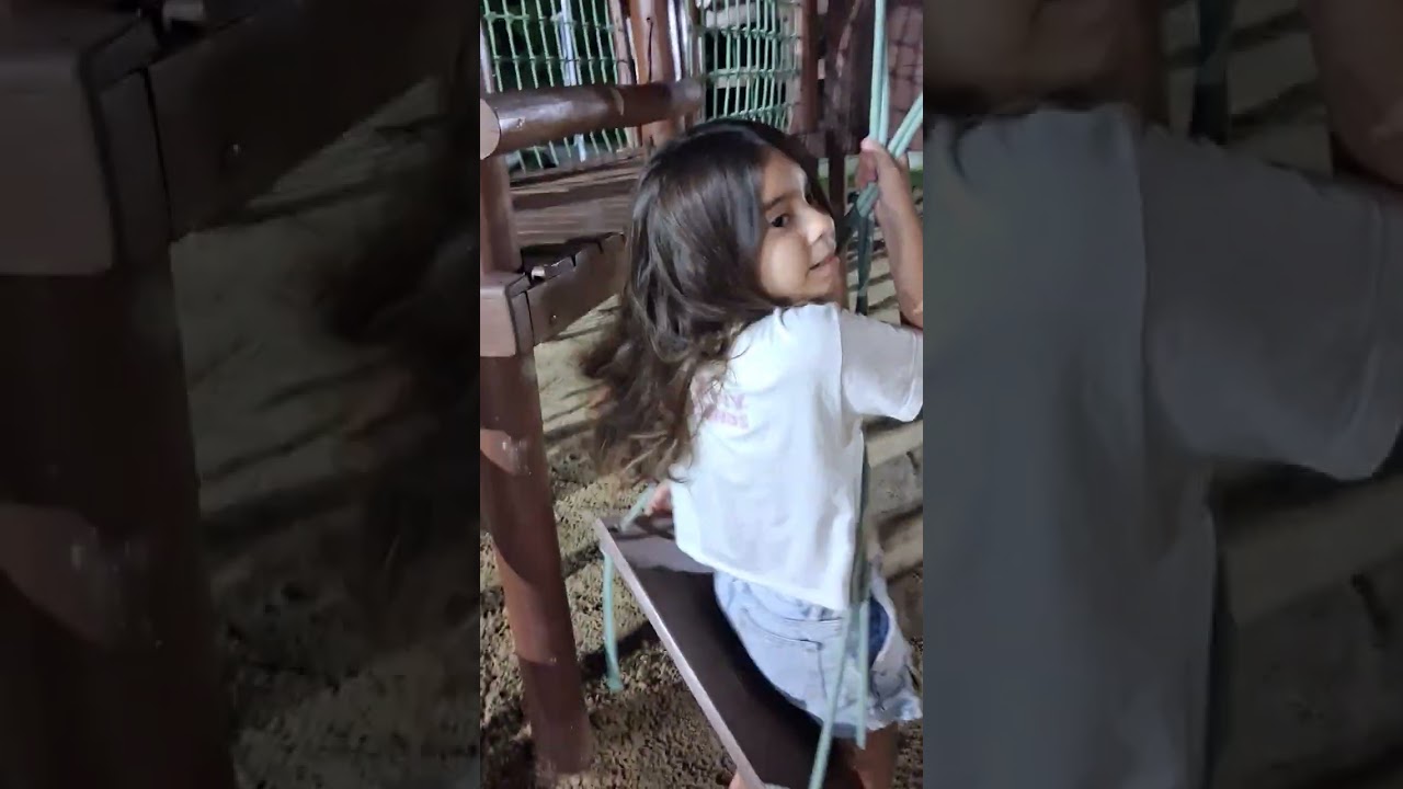 Brincando no parquinho .