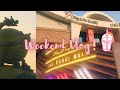 Dragon mart and dubai mall  weekend vlog 3