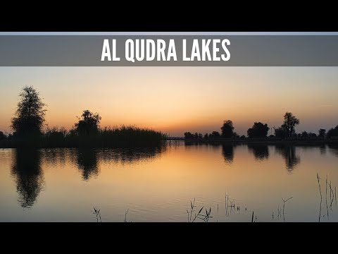 Al Qudra Lakes | Sunrise | Al Marmoom Desert Conservation Reserve | Dubai | UAE